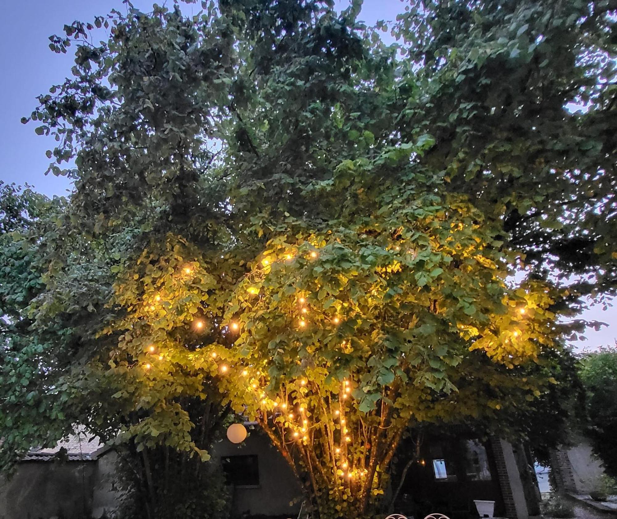 La Demeure D'Othe Bed & Breakfast Sormery ภายนอก รูปภาพ