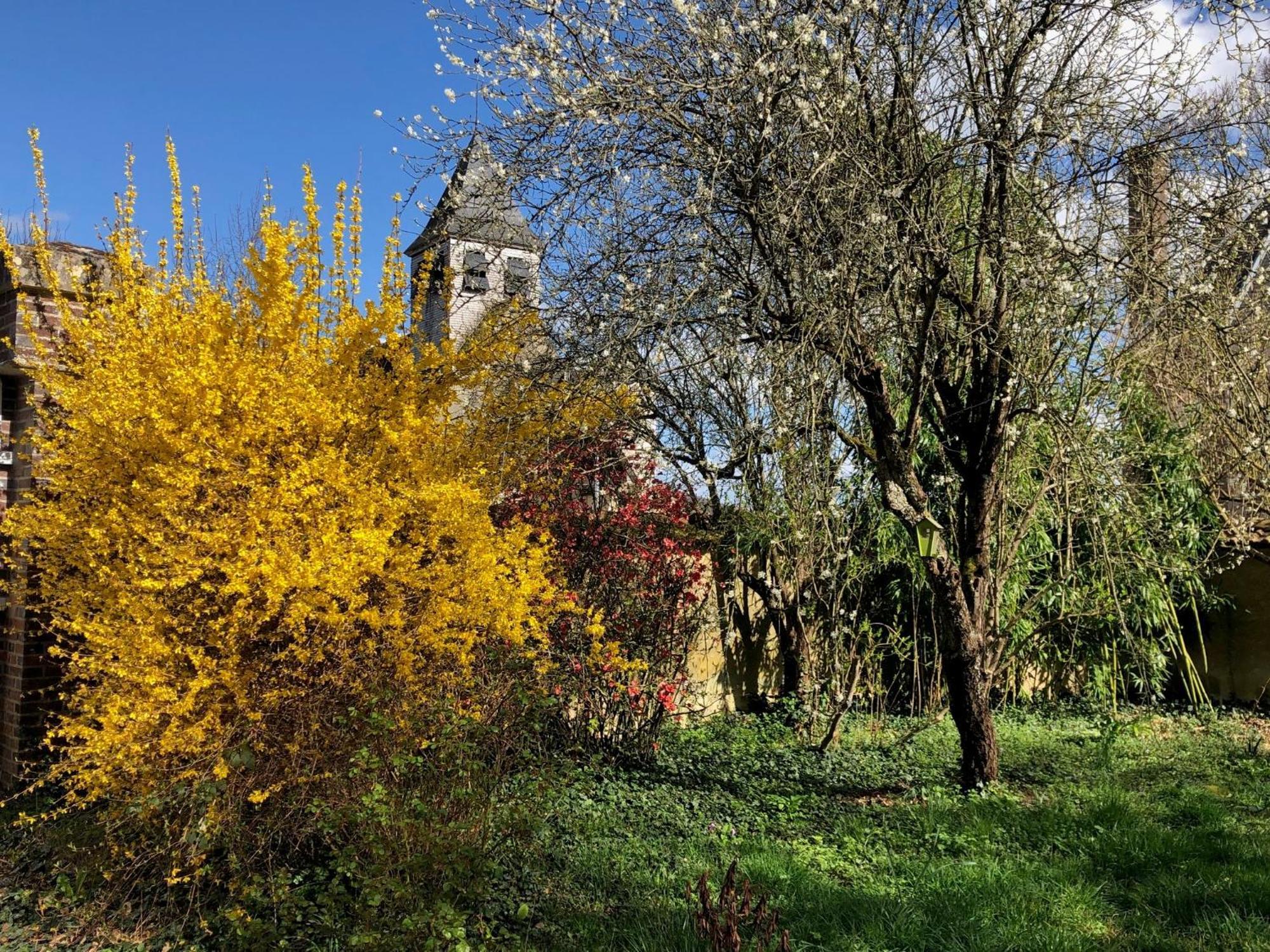 La Demeure D'Othe Bed & Breakfast Sormery ภายนอก รูปภาพ